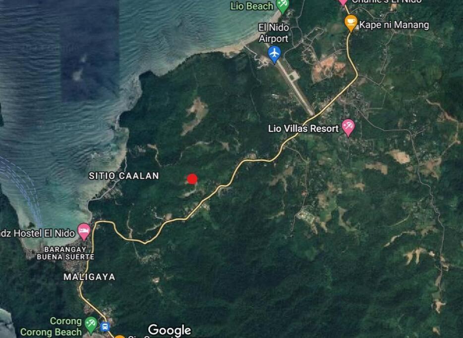 Palayan Villa - Villa With Views, Garden And Pool El Nido Bagian luar foto